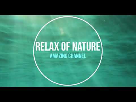 Calming Music ~Beautiful Relaxing Music for Stress Relief  ~ Relaxation,Meditation , Sleep, Spa