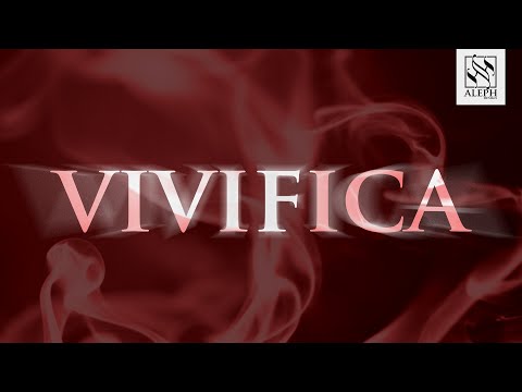 Vivifica - Rafaela Pinho [LYRIC VIDEO]