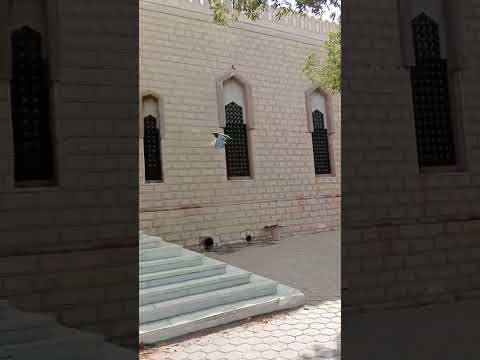 Masjid Nimrah Midan e Arafat