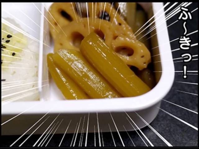 再現すると激しく地味 お弁当箱の歌 の歌詞の真意を紐解いてみた Macaroni