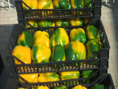 peperoni e fragole, peveragno (cuneo)