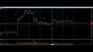 Обжорчик 21.09.2019 16-20