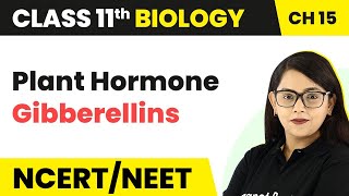 Class 11 Biology Chapter 15 | Plant Hormone (Gibberellins) - Plant Growth and Development