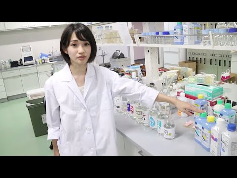 薬学科 尾家先生 薬学科【研究室紹介】