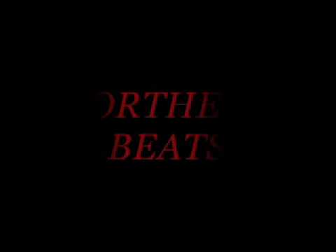 Northern beats - Ridin 4 the cause