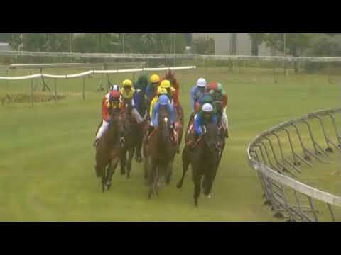 Missisippi Burning - World Sports Betting Cape Fillies Guineas