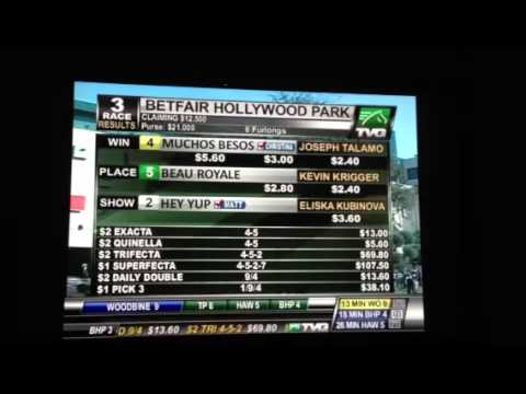 TVG commentary John Shear last day at Hollywood Park