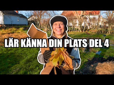 Lär känna din plats del 4 - Kosters Trädgårdar