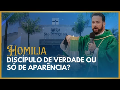 Sem perseverança, você não é discípulo de verdade! | Homilia Frei Rinaldo
