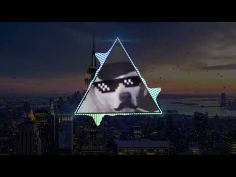 CORNETA AGRESSIVA (KOTOKO_GRAVE)