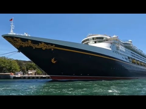 Thumbnail for Looking at the Disney Wonder on the 6th of January