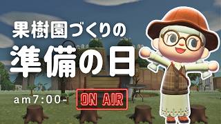 【あつ森雑談ラジオ】果樹園を作りたいので朝からフルーツを植えます-am7:00～｜睡眠・作業用
