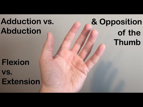 Abduction vs. Adduction, Flexion vs. Extension and Opposition of the Thumb