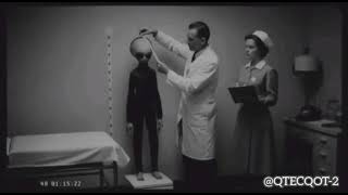 LEAKED SPECIES 4 SkinnyBob alien footage  Reimagin#AnalogHorror#FoundFootage
