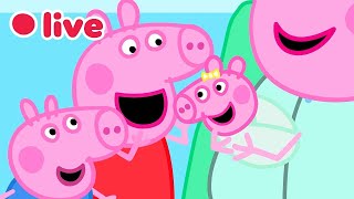 🔴 Peppa Pig BEBÊ EVIE Episódios AO VIVO 🍼 Melhores Momentos da Evie 💛 Desenhos Infantis