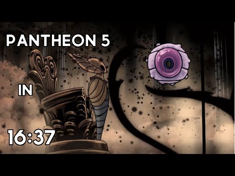 Hollow Knight Speedrun - Pantheon 5, but even faster? (New World Record)