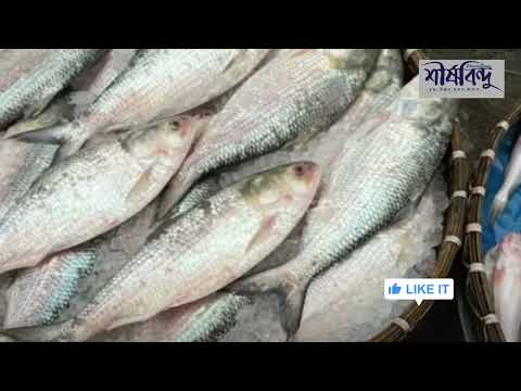 পূজার আগেই ভারতে ইলিশ রপ্তানির অনুমতি দিল বাংলাদেশ