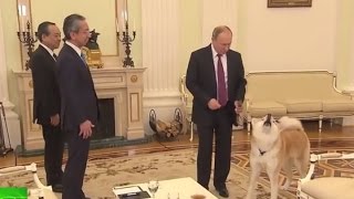 Re: [問卦] 俄羅斯將對日本制裁採取重大措施？