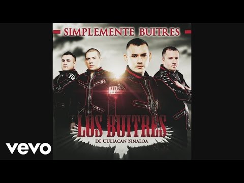 Los Buitres De Culiacán Sinaloa - Ritmo Tche tcherere tche tche (Cover Audio Video)