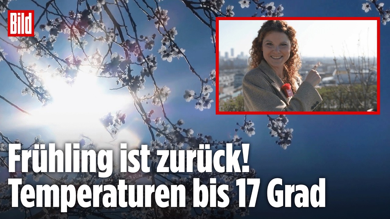 Wetter in Deutschland: Frühlings-Comeback! 17 Grad und Pollen