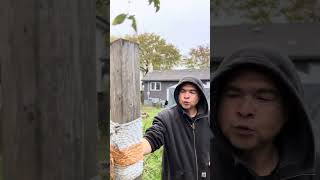 Makiwara on a Monday