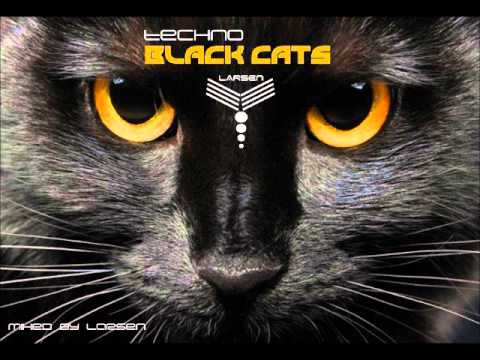 DJ. LARSEN - TECHNO BLACK CATS
