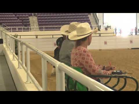 SUN 080722 OPEN   shawn flarida   alpha jac sparrow