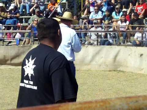 sabinal 2010 wild hog cathing