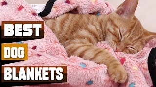Best Dog Blankets In 2026 - Top 10 Dog Blankets Review