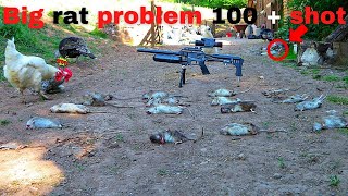 shooting huge rats with air rifles on a chicken farm using the PARD 008 LRF - ATN 4K pro