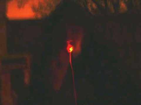 Thomas Bongbadil (Dromedario banda) - Ebano & Caoba