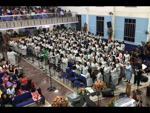 João viu Coral de Mulheres, vídeo original e completo