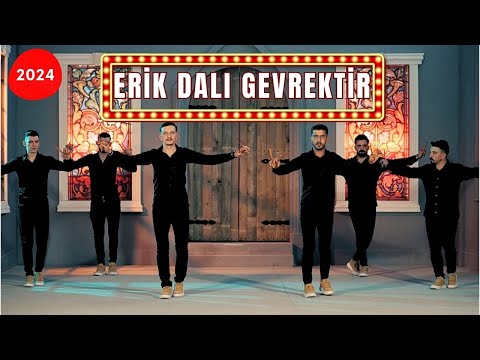 Aylin Demir - Erik Dalı Gevrektir - Oyun Havası