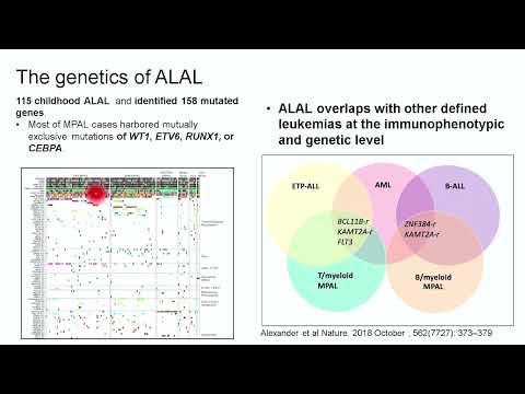 Acute leukemia of ambiguous lineage – Dr. Areej Almoghairi (September 15-16, 2023)