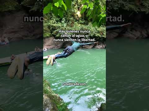 Disfruta de los mejores planes de naturaleza y aventura en Norcasia Caldas, Colombia con RutaDorada