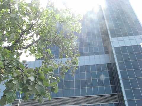 Uzunu-nebunie si megalomanie.AVI