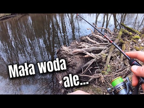Mała woda, ale coś się wydłubie !!!