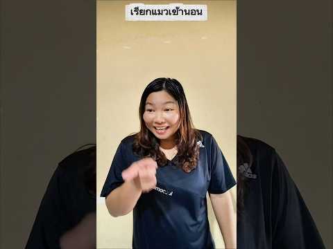 เรียกแมวเข้านอน #บังเอิญเจอ #funny #comedy #การแสดงเท่านั้น