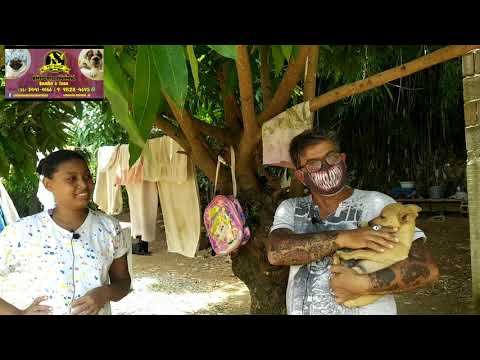 MÃE QUE FOI ATROPELADA COM 3 FILHOS EM OURO FINO PRECISA DE AJUDA.