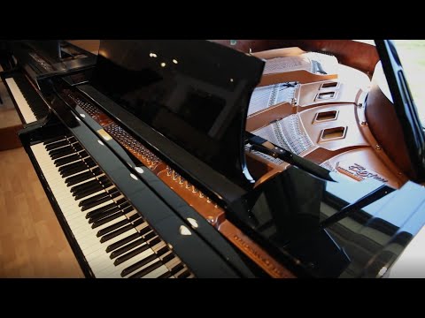 Boston GP-178 PE-II  Ebony Polish Grand