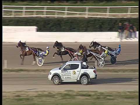 Trotto 08/02/2019 - 2ª corsa