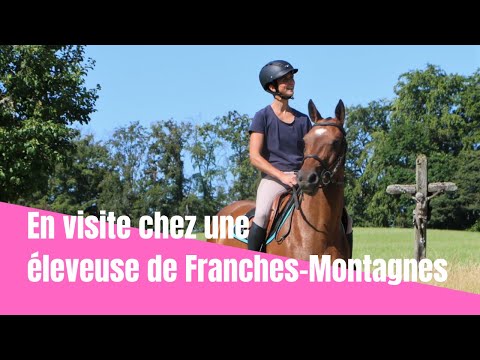 En visite chez une éleveuse de Franches-Montagnes