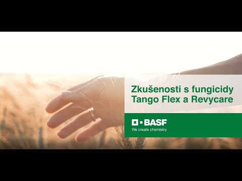 Zkušenosti s fungicidy Tango Flex a Revycare