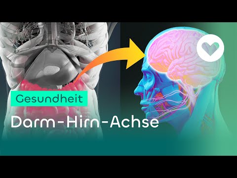 Darm-Hirn-Achse - Der geheimnisvolle Kommunikationskanal