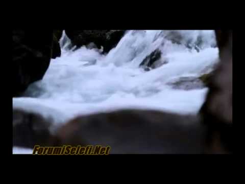 Shaban Tolaj | Vlera e dijes {Pjesa e parë}