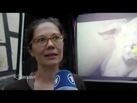 Tierschutz Aktivisten wegen Hausfriedensbruchs angeklagt MDR Brisant