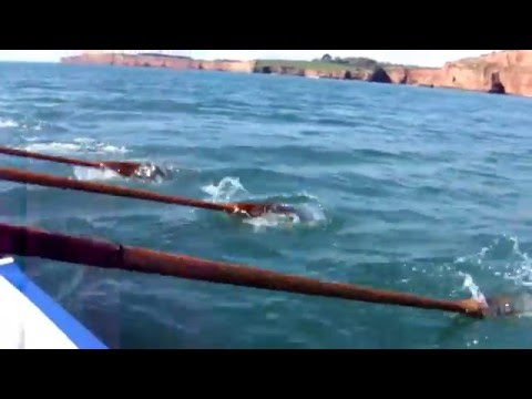 Sidmouth Gig Club rowing 17th April 2016