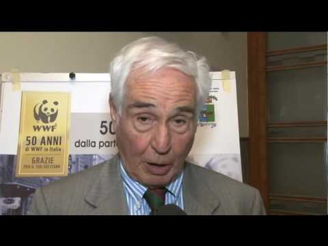 TgSei Edizione della notte Sabato 11 giugno 2016