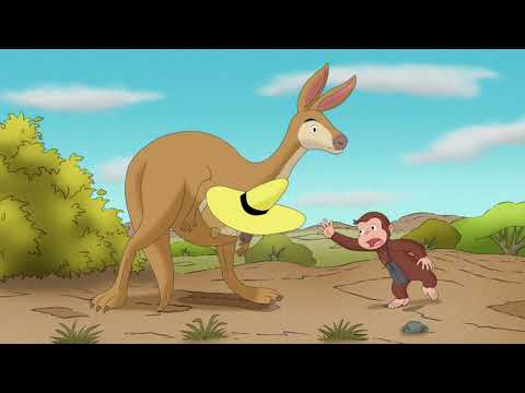 Coco der Neugierige | Känguru-Spaß | Cartoons für Kinder