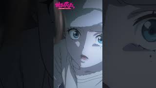 「こっちは毎日、あんたに勝つために本気で考えて、全力で臨んでるのに......」TVアニメ『対ありでした。～お嬢さまは格闘ゲームなんてしない～』第6話 #対ありアニメ #長谷川育美 #市ノ瀬加那